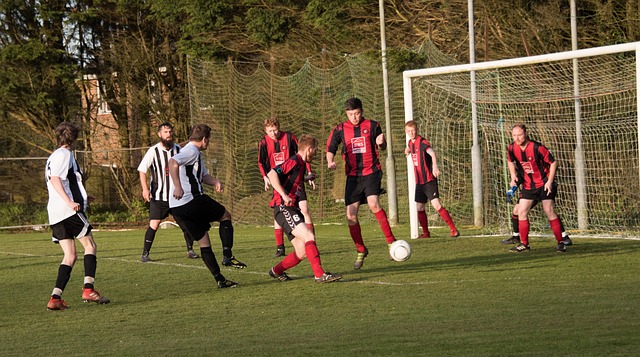 着未来体育 着未来体育