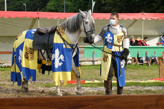 能够在比赛 能够在比赛