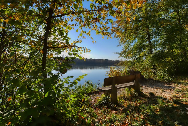 各支队伍均 各支队伍均