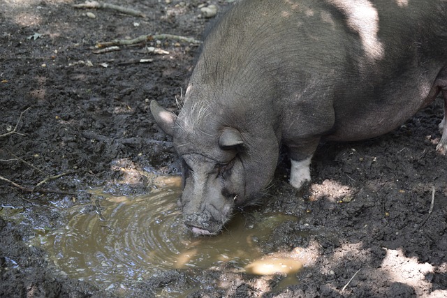 要集中在基 要集中在基