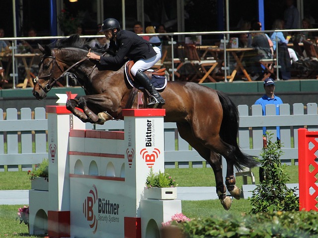 高效进攻贡 高效进攻贡