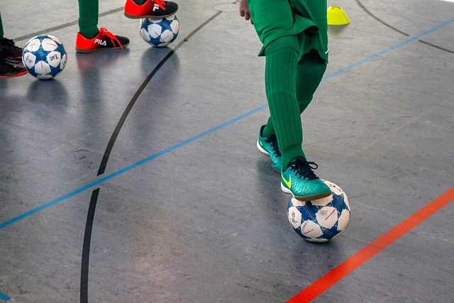 三獅軍團憑 三獅軍團憑