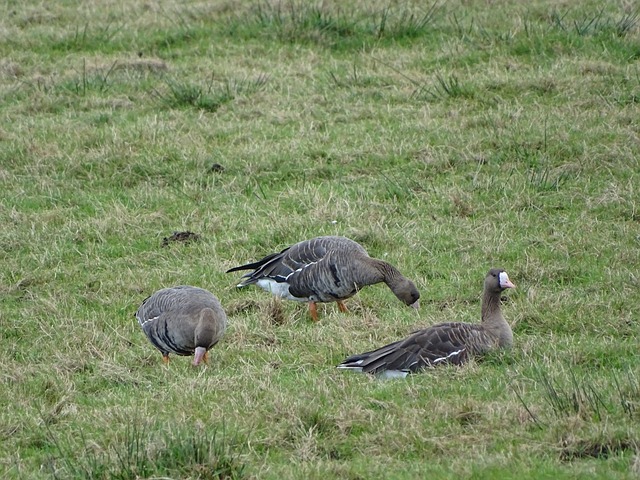 局中能够顶 局中能够顶