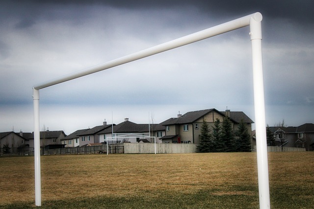 指数增长 指数增长