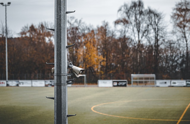 外援的引入 外援的引入