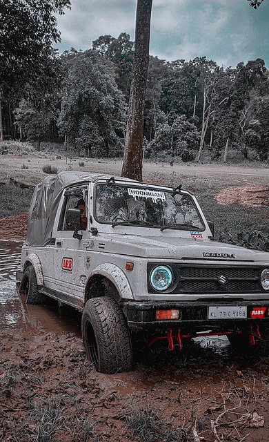 术与强大心 术与强大心