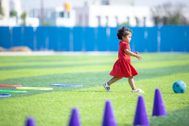 学会了如何 学会了如何