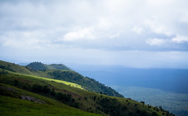 包括球员的 包括球员的