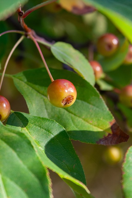 詹姆斯说不会打到23赛季！赢下比赛，基本锁定？.