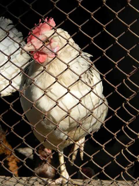 官方：利物浦主帅斯洛特因对埃弗顿赛后不当行为被禁赛2场.