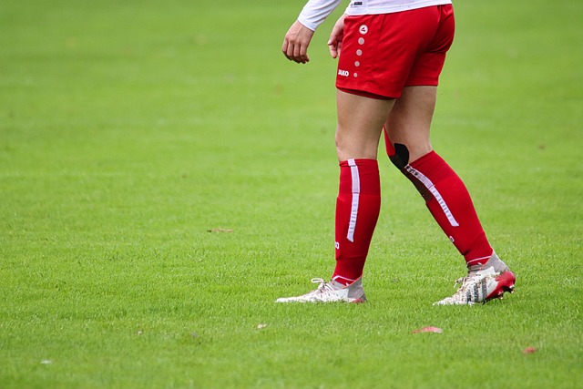 张康阳的个 张康阳的个