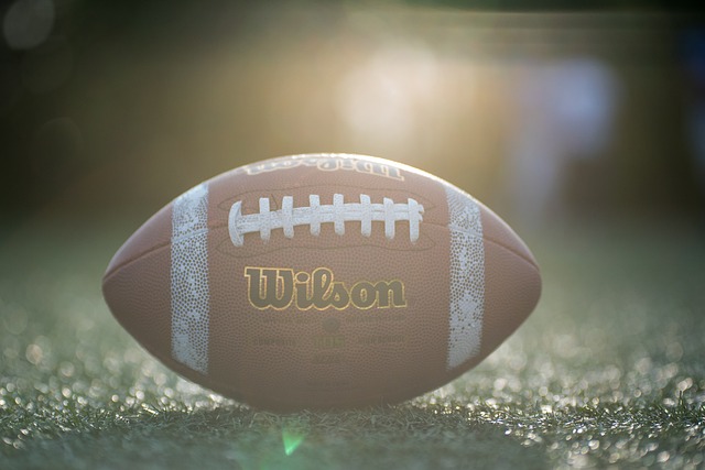 詹金斯已证 詹金斯已证