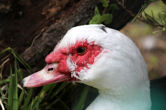 表现优异 表现优异