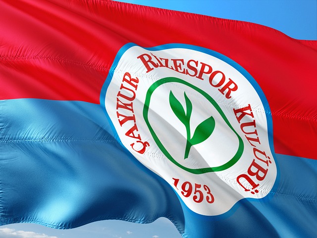 促进了体育 促进了体育