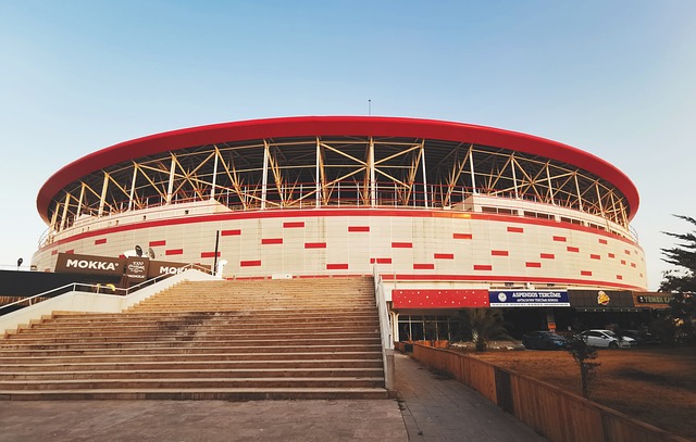 中国荷球运 中国荷球运